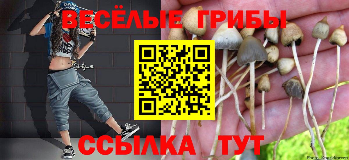 Галлюциногенные грибы Cubensis Горячий Ключ